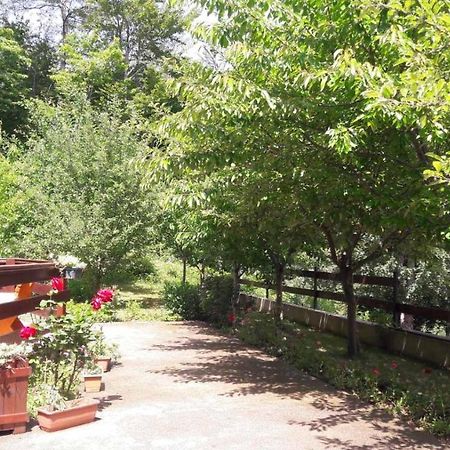 קולאסין Crkvine Chalet מראה חיצוני תמונה